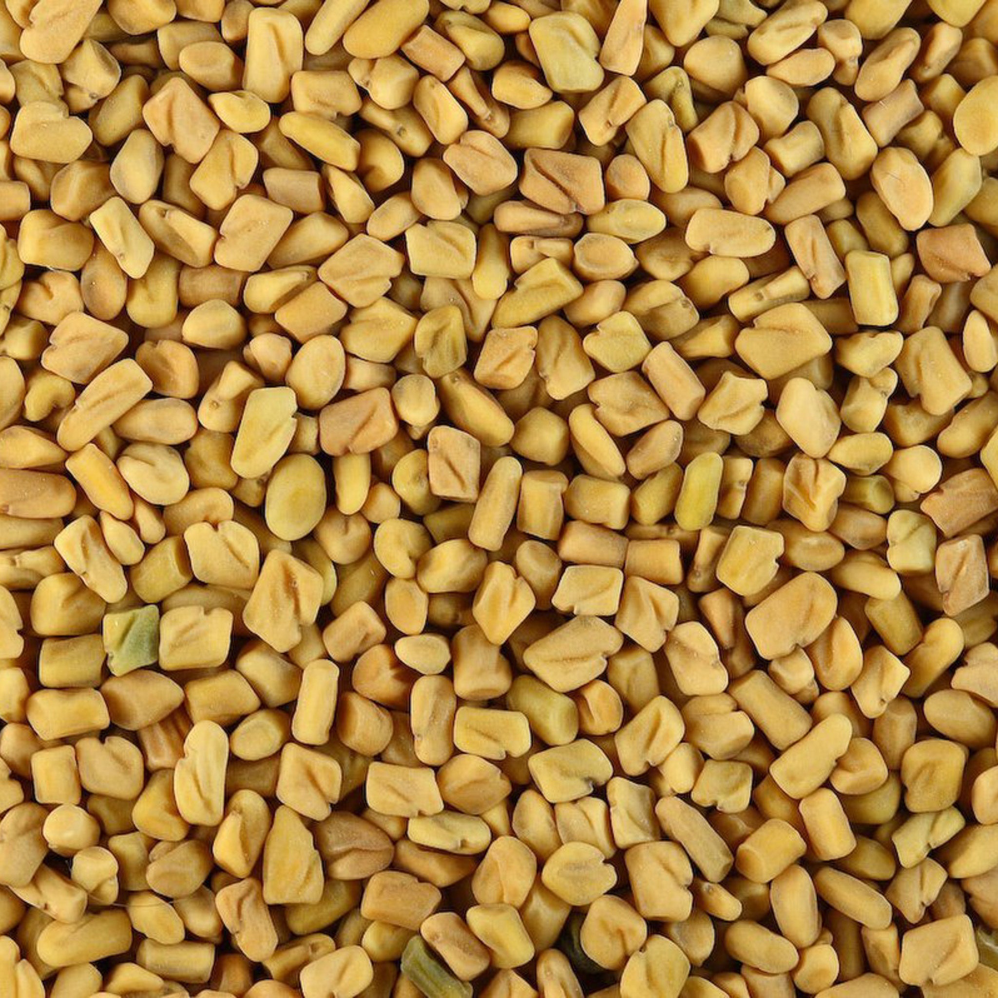 fenugreek seeds to plant Organic Fenugriek Seeds Whole – Little Plant Pantry