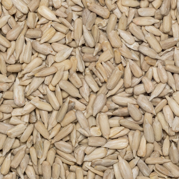 Organic Sunflower Seeds – Little Plant Pantry