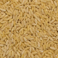 organic orzo