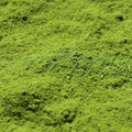organic moringa powder