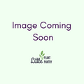 Temporary product image for organic coconut sugar.