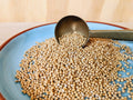 Mosterdzaad Geel Bio. Mustard Seeds Whole Organic. Natuurwinkel