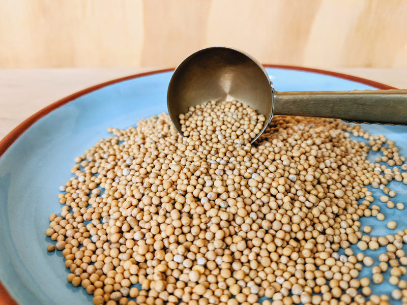 Mosterdzaad Geel Bio. Mustard Seeds Whole Organic. Natuurwinkel
