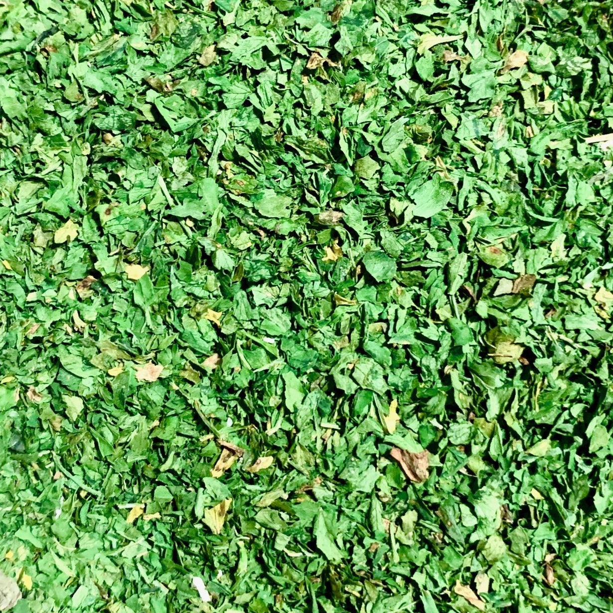 Organic Dried Parsley