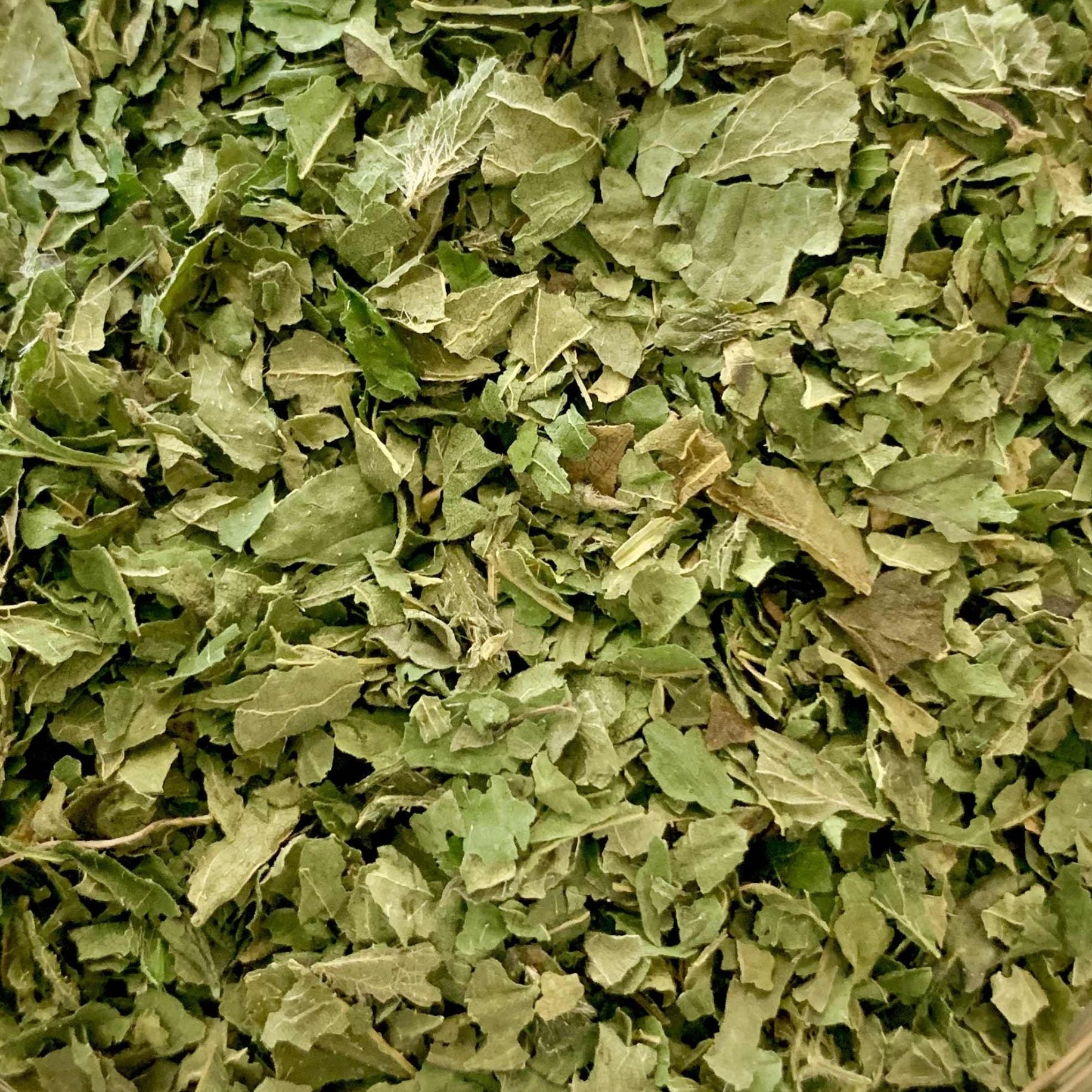 Organic Nettle Leaves