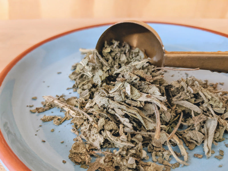 Salie Grof Bio. Sage Organic. Natuurwinkel