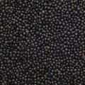 Close up of Lentils Beluga Black Organic