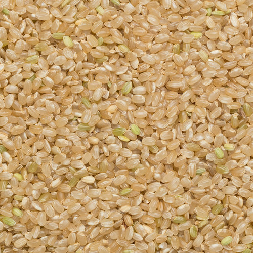 Close up of Rice Brown Short Organic