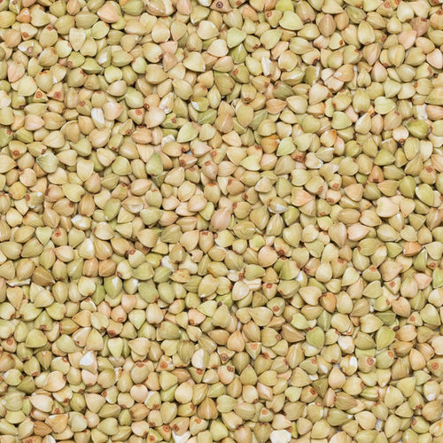 Close up of organic fair trade hulled buckwheat.