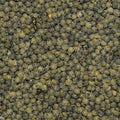 Close up of Lentils Green Dupuy Organic