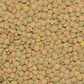 Close up of Lentils Green Laird Organic