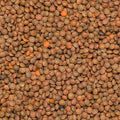 lentils brown organic
