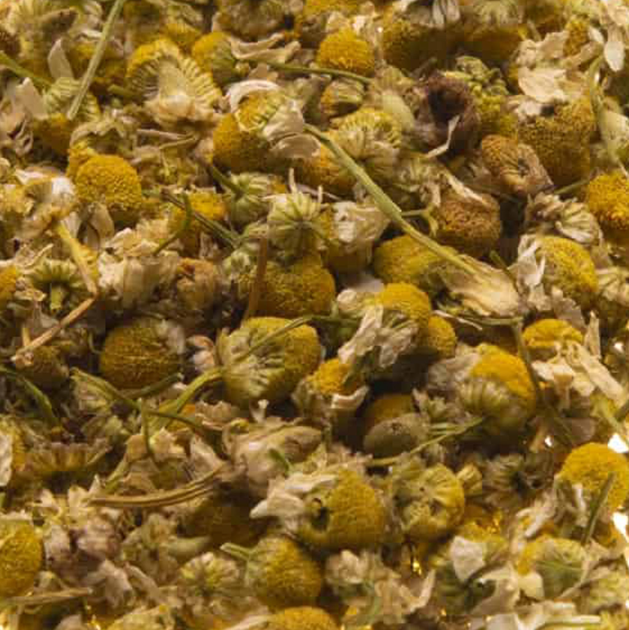 Organic Chamomile tea