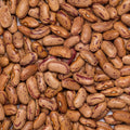 close up of Borlotti-Pinto Beans Organic & Fairtrade