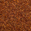 close up of Thai Red Rice Organic