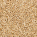 Close up of sesame seeds organic.