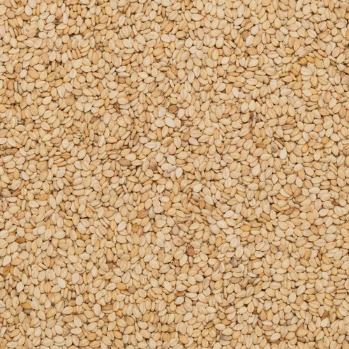 Close up of sesame seeds organic.