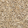 Close up of sunflower seeds organic.