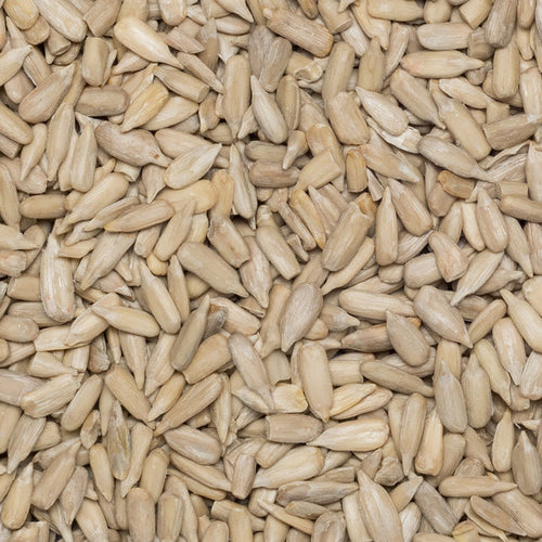 Close up of sunflower seeds organic.